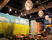 hauptbildweb_IMG_0012