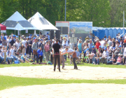 P1040806_Bild5web