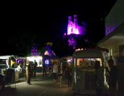 web11_DSC_0375