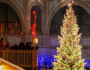 Weihnachtsbaum_Zrich_HB_Bild2