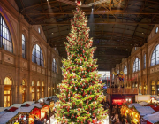 Weihnachtsbaum_Zrich_HB_Bild4