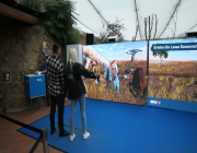 EWZ_interaktionstool_4