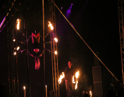 web12_IMG_0134