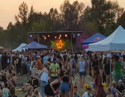10_Werdinsel_Openair_2018_Flashlight_210312